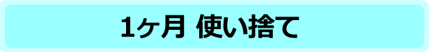 1ヶ月使い捨て